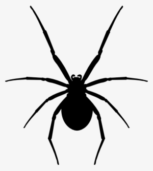 Katipo-silhouette - Katipo Spider New Zealand #3012448