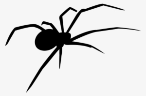 Spider Icon #3012453