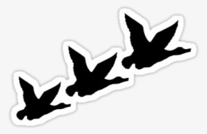 Flying Duck Silhouette - 2 Flying Ducks Silhouette #3012804