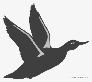 Duck Silhouette Animal Free Black White Clipart Images - Bird Taking Off Clipart #3012829