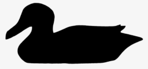 Duck,water Bird,silhouette,black - Duck #3012993