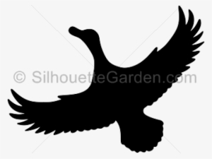Duck Silhouette - Clip Art #3013215