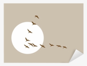 Flying Ducks Silhouette On Solar Background Sticker #3013385