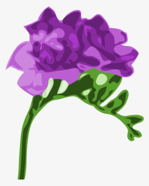 Go To Image - Purple Freesia #3014173
