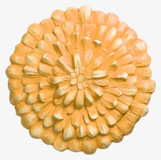 Common Zinnia #3014205