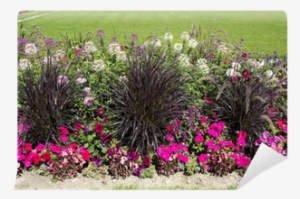 Beautiful Colorful Flower Garden With Various Flowers - Flower #3014322