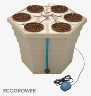 Ecogrower® - Rainforest Ghe #3014709
