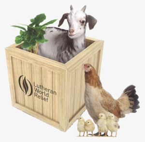 Thumbnail - La Granja. Mi Libro Memo ¡con 2 X 20 Tarjetas Memo! #3015426