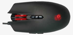 Sp80 - Mouse #3016582