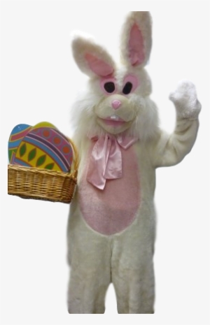 Easter Rabbit Costume - Easter Bunny Costume #3016865
