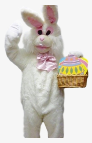Easter Rabbit Ccostume - Easter Bunny #3016894