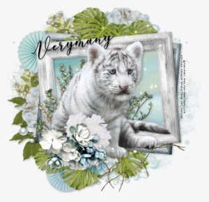 Little Tiger Summer Breeze - 2018 #3017470