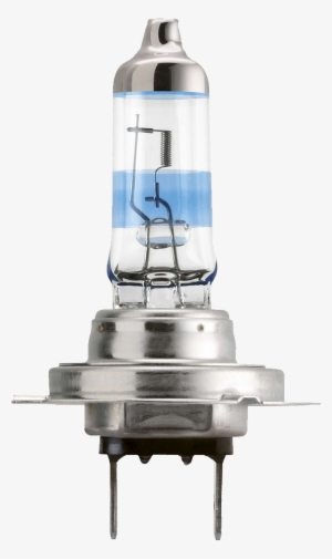 Philips Racingvision H7 (twin) #3018166