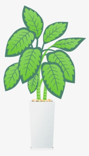 Keeping Office Plants Is No Simple Task, But It Is - Houseplant #3018221