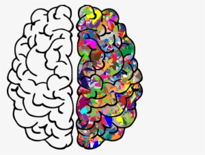 Brain-2750415 480 - Left Vs Right Brain Png #3018317