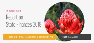Website Banner For The Auditor-general Report On State - Protea #3018444