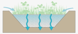 Bioinfiltration Icon - Icon #3019661