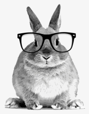 The Story Of The Hare Who Lost His Spectacles British - Rabbit Front #3020578