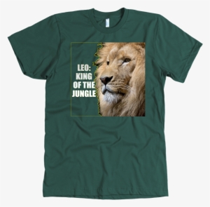 Load Image Into Gallery Viewer, Leo Gold Light - Portrait Of A Beautiful African Lion King Ok/diary #3021135