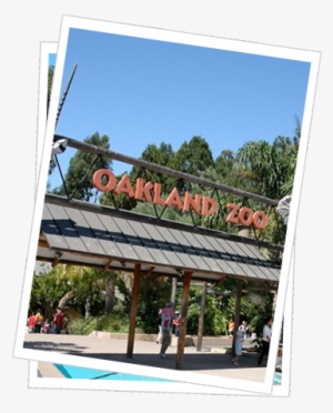 Daily Housekeeping Is Provided So You Can Unwind And - Banner #3021140