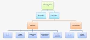 Mecanismos Del Virus Para La Inducción Del Proceso - Computer File #3024241