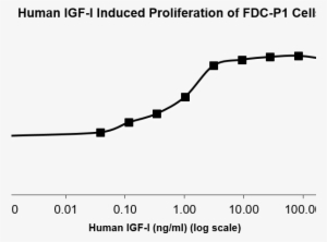 Qp5005 Igf1 Isoform - Human #3024491