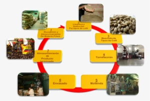 Conoce El Proceso - Proceso De Cafe #3024516