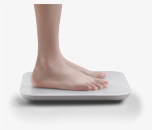 The Surface Of The Scale Measures Nearly Cm And The - Feet On Scale Png #3024657