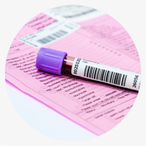 Blood Sample Or Urine Sample - Blood In Edta Tube #3026375