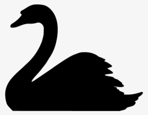 The Black Swan Event Donald Trump Needed To Win Was - Black Swan Png #3026429