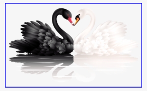The Best White And Black With Heart Shape Png Clipart - Swan Png #3026477