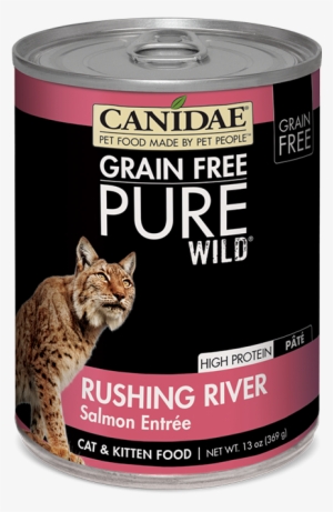 Canidae Grain Free Pure Wild Rushing River Salmon Pate - Canidae Pet Foods Pure Wild Gf Duck Chickn 18/3z #3027072