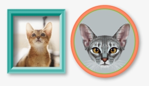 Abyssinian Cat - Art Print: Ant Art19's Illustrative Portrait Of Abyssinian #3027102