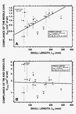 Acoustic Compliances Of The Sand Cat's Middle Ear Compared - Diagram #3027148