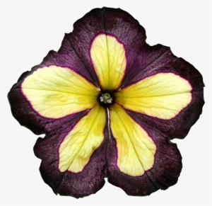 2018 03 27 - Clipping Path #3027306