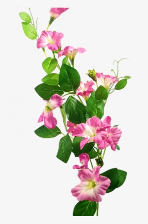 Petunia Stem Lisianthus & Morning Glory & Petunias - Prairie Gentian #3027375