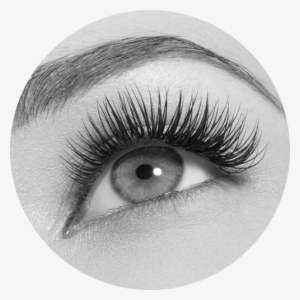 Eye - Eyelash Extensions #3028129