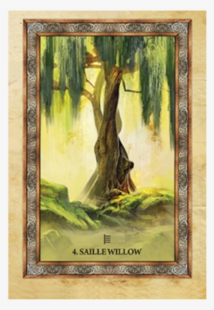 Celtic Tree Oracle - Celtic Tree Oracle By Sharlyn Hidalgo #3028329