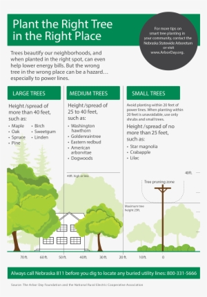 Nreca And Arbor Day Foundation Graphic That Shows Safe - Tree #3028859