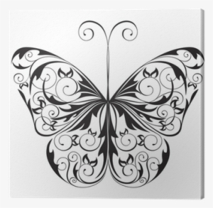 Black And White Butterfly #3029092