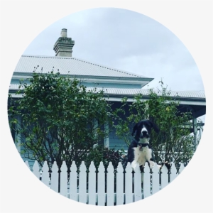 Wishing Well - Portable Network Graphics #3029201