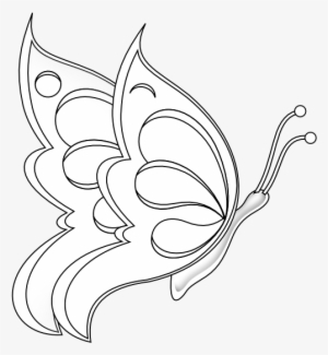Butterfly 19 Black White Line Art 555px - Butterfly Sitting On A Flower Drawings #3029485