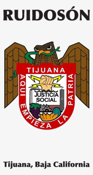 Permalink - Http - //albertobustamante - Net/ - Ayuntamiento De Tijuana #3029878