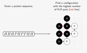 Given A Protein Sequence Made Up Of H And P “molecules,” - Diagram #3032315