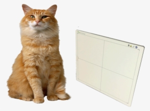 The Revolutionary Feline Dr Wizard Flat Panel System #3032909