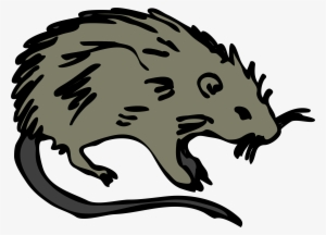 Rats Baseball Clipart #3034112