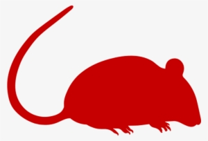 Original Png Clip Art File White Mouse Svg Images Downloading - Balb C ...