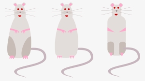 Original Png Clip Art File Three Different Rats Svg #3034489