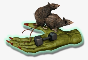 Big Fitness Goblin Rats - Punxsutawney Phil #3034782