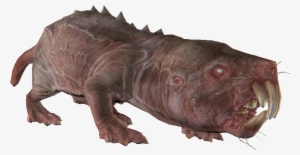 Mole Rat - Portable Network Graphics #3034808